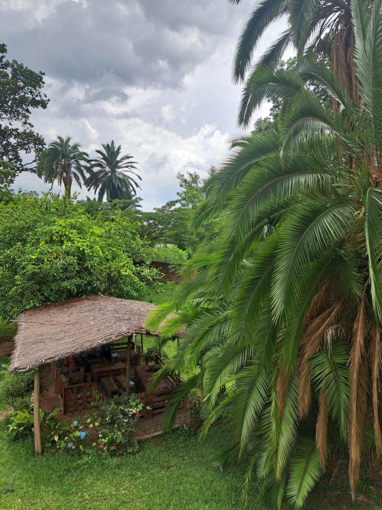 Blend Lodge And Kitchen - Pakachere Zomba Ngoại thất bức ảnh